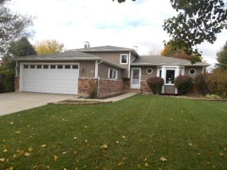 Foreclosed Home - 281 Butte View Dr, 60490