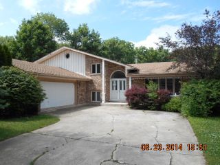 Foreclosed Home - 13362 OAKWOOD DR, 60491