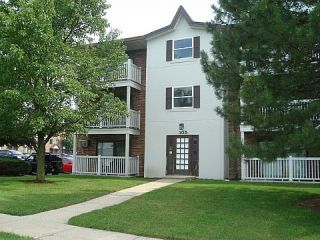 Foreclosed Home - 105 GREGORY ST APT 9, 60504