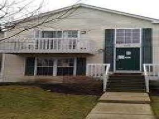 Foreclosed Home - 832 SYMPHONY DR, 60504