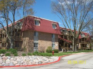 Foreclosed Home - 1870 TALL OAKS DR UNIT 2105, 60505
