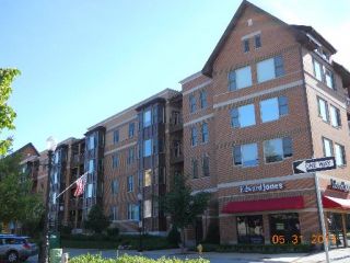 Foreclosed Home - 930 CURTISS ST UNIT 310, 60515