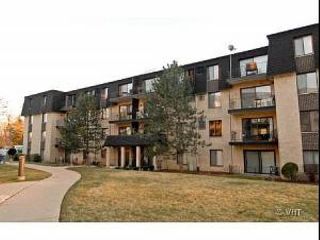 Foreclosed Home - 10723 5TH AVE CUT OFF APT 308, 60525