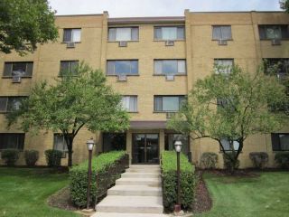 Foreclosed Home - 6660 S BRAINARD AVE APT 104, 60525