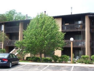 Foreclosed Home - 6103 KNOLL VALLEY DR APT 201, 60527
