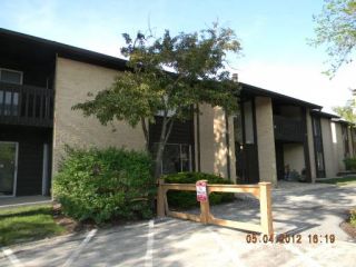 Foreclosed Home - 6170 KNOLL LANE CT APT 101, 60527
