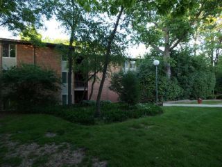 Foreclosed Home - 5801 Oakwood Dr # 5801, 60532