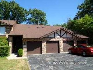 Foreclosed Home - 6293 TRINITY DR, 60532