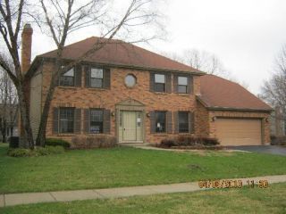 Foreclosed Home - 613 BUTTONWOOD CIR, 60540