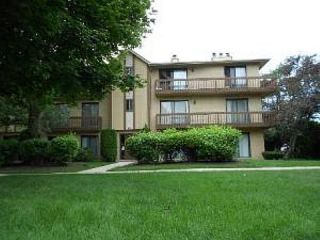 Foreclosed Home - 91 OLESEN DR APT 2N, 60540