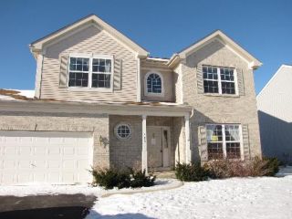 Foreclosed Home - 409 RAINTREE DR, 60543