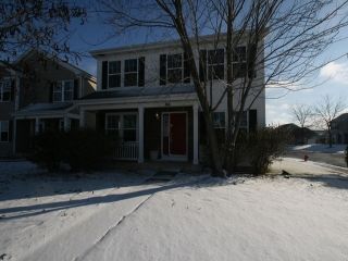 Foreclosed Home - 366 OGDEN FALLS BLVD, 60543