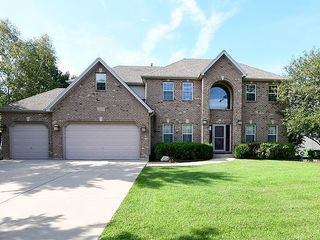 Foreclosed Home - 209 WILLOWWOOD DR, 60543