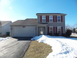 Foreclosed Home - 22053 W Petoskey Ct, 60544