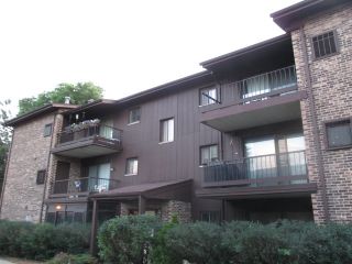 Foreclosed Home - 60 Pier Dr Apt 102, 60559