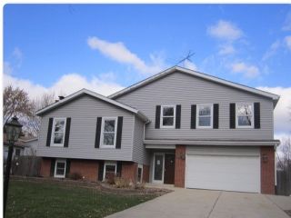 Foreclosed Home - 1002 Willow Ln, 60561