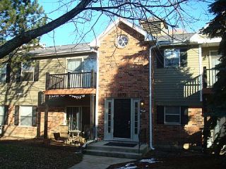 Foreclosed Home - 1573 RAYMOND DR APT 203, 60563