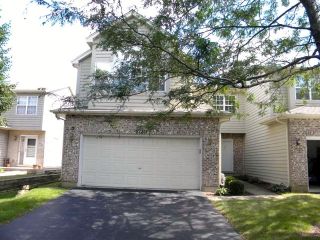 Foreclosed Home - 1720 TAMAHAWK LN, 60564