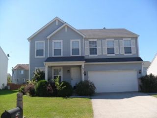 Foreclosed Home - 6312 BLACK HILL RIDGE DR, 60586