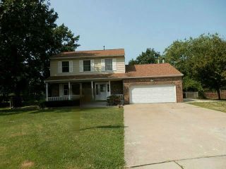 Foreclosed Home - 3830 AMBER CT, 60586