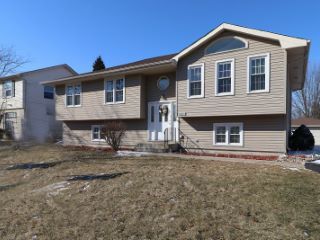 Foreclosed Home - 2513 RUTH FITZGERALD DR, 60586
