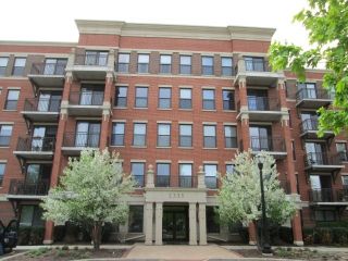 Foreclosed Home - 2335 W BELLE PLAINE AVE APT 205, 60618