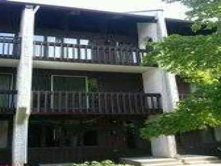 Foreclosed Home - 6660 W WOOD RIVER DR APT 108, 60714
