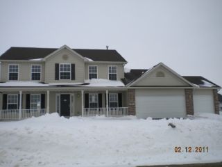 Foreclosed Home - 893 SCOTTS ARMY TRL, 61008