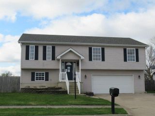 Foreclosed Home - 100 Castleman Ct, 61610