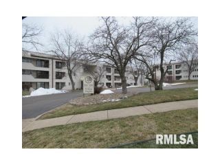 Foreclosed Home - 2705 W Willowlake Dr 48, 61614