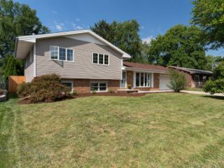 Foreclosed Home - 117 DOUD DR, 61761