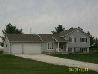 Foreclosed Home - 29926 N 1728 EAST RD, 61811