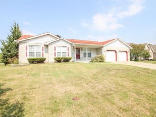 Foreclosed Home - 92 RAES CREEK DR, 62040