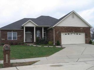 Foreclosed Home - 3315 TERRANCE VIEW CT, 62260