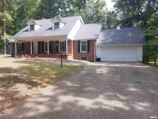Foreclosed Home - 19 WILDWOOD DR, 62864