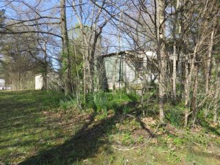 Foreclosed Home - 205 E POPE ST, 62938