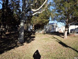 Foreclosed Home - 160 MARK DR, 62939
