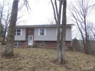 Foreclosed Home - 311 ORION DR, 63020