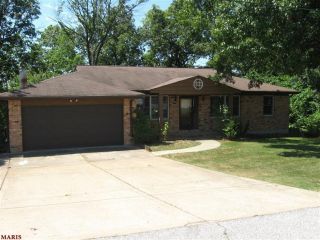 Foreclosed Home - 429 MORGAN WOODS DR, 63026