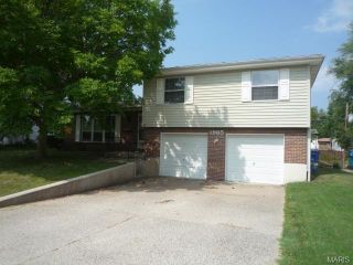 Foreclosed Home - 1985 DANELLE DR, 63031