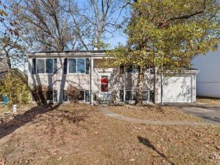 Foreclosed Home - 11813 BROOKMONT DR, 63043
