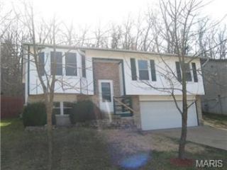 Foreclosed Home - 872 COUNTRY GLEN DR, 63052