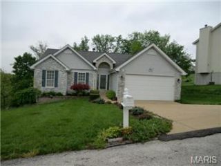 Foreclosed Home - 6016 KASSEL CT, 63052