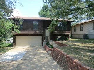 Foreclosed Home - 4209 MAPLE TREE CT, 63052