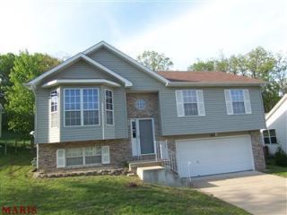 Foreclosed Home - 2917 SAND SCULPTURE CT, 63070