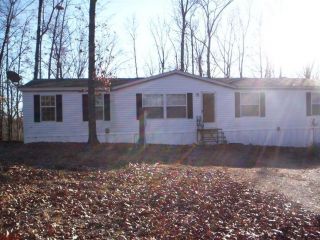 Foreclosed Home - 27 WOODLAND LKS, 63080