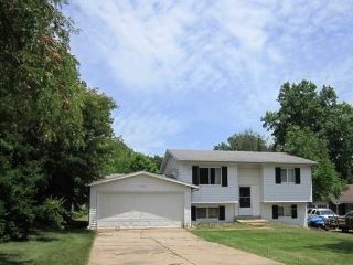 Foreclosed Home - 11646 BRIARBRAE CT, 63138
