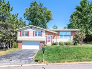 Foreclosed Home - 12409 BETSY ROSS LN, 63146