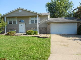 Foreclosed Home - 1126 HAVEN VIEW CIR, 63366