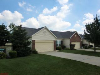 Foreclosed Home - 3 TURTLE CREEK VILLAS DR, 63366